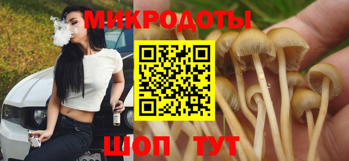 Галлюциногенные грибы Cubensis Прокопьевск